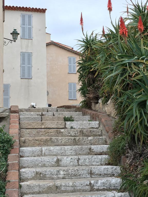 Вілла Cap Antibes Les Bosquets Екстер'єр фото